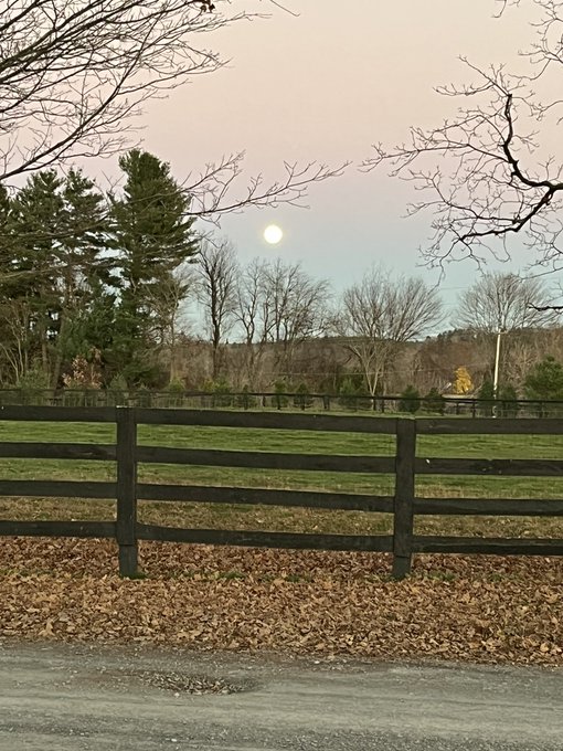 Beaver Blood Moon tonight and a lunar eclipse tomorrow at 5am https://t.co/2zolm98uba<a href="/tag/sunset"class="tags"><span>#sunset</span></a>