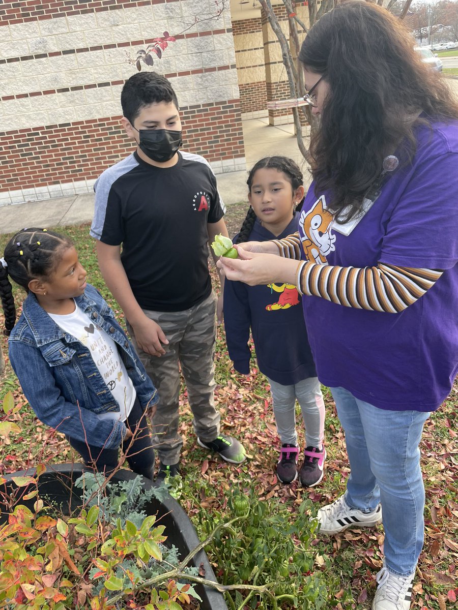 themeekmoose's tweet image. We got rolling with the @EllisSoars #EcoWarriors today. Did a little bit of a recycling audit and checked out the school garden. We’ve got some Tomatillos growing still! Salsa verde, anyone? @MsBarbour_SEES  @jabarajk @PWCSEnergyTeam