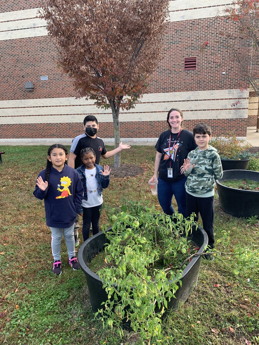 themeekmoose's tweet image. We got rolling with the @EllisSoars #EcoWarriors today. Did a little bit of a recycling audit and checked out the school garden. We’ve got some Tomatillos growing still! Salsa verde, anyone? @MsBarbour_SEES  @jabarajk @PWCSEnergyTeam
