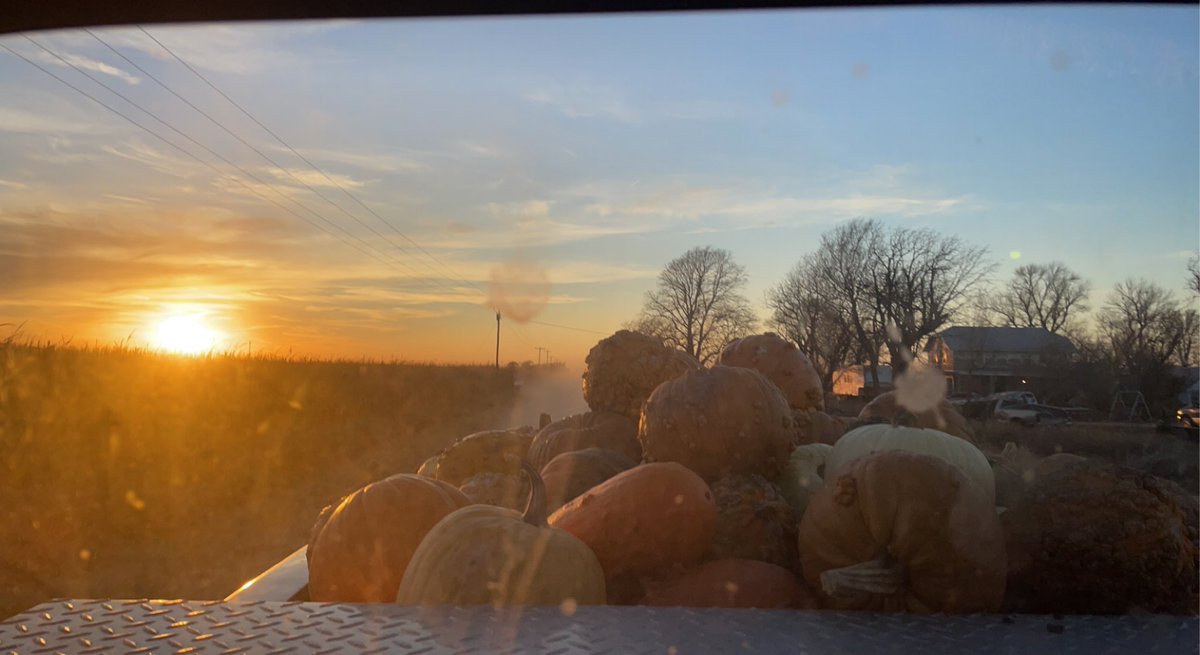 firefighter89's tweet photo. Going to have some happy sheep & dairy goats!! #pumpkin #feastTime https://t.co/WI0FAW2m3o