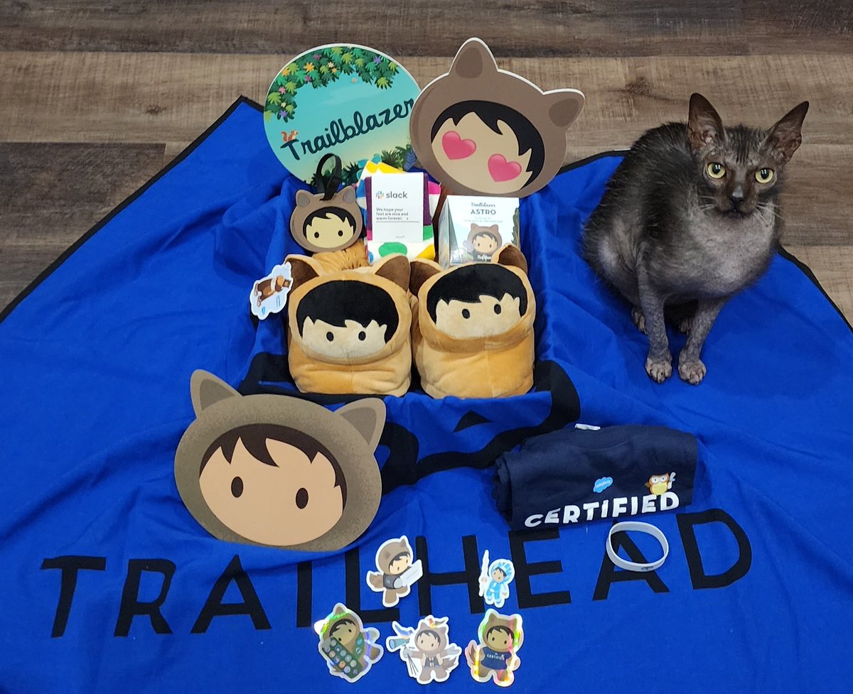 MsJenPo's tweet photo. @MistyRaeJones How'd you know I needed a new mouse pad or that I live in slippers? Sydney is ready to build this Lego Astro asap! Also, Grimm is a huge fan of the box. You're amazing! Thank you so much!! 💗 #ohanapears https://t.co/467s2VYWib