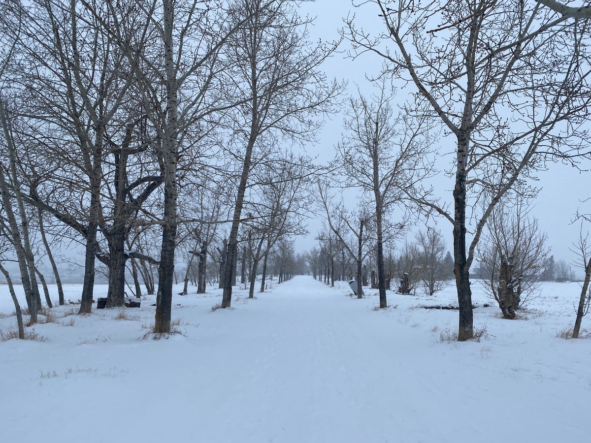 Jeremy Klaszus tweet media