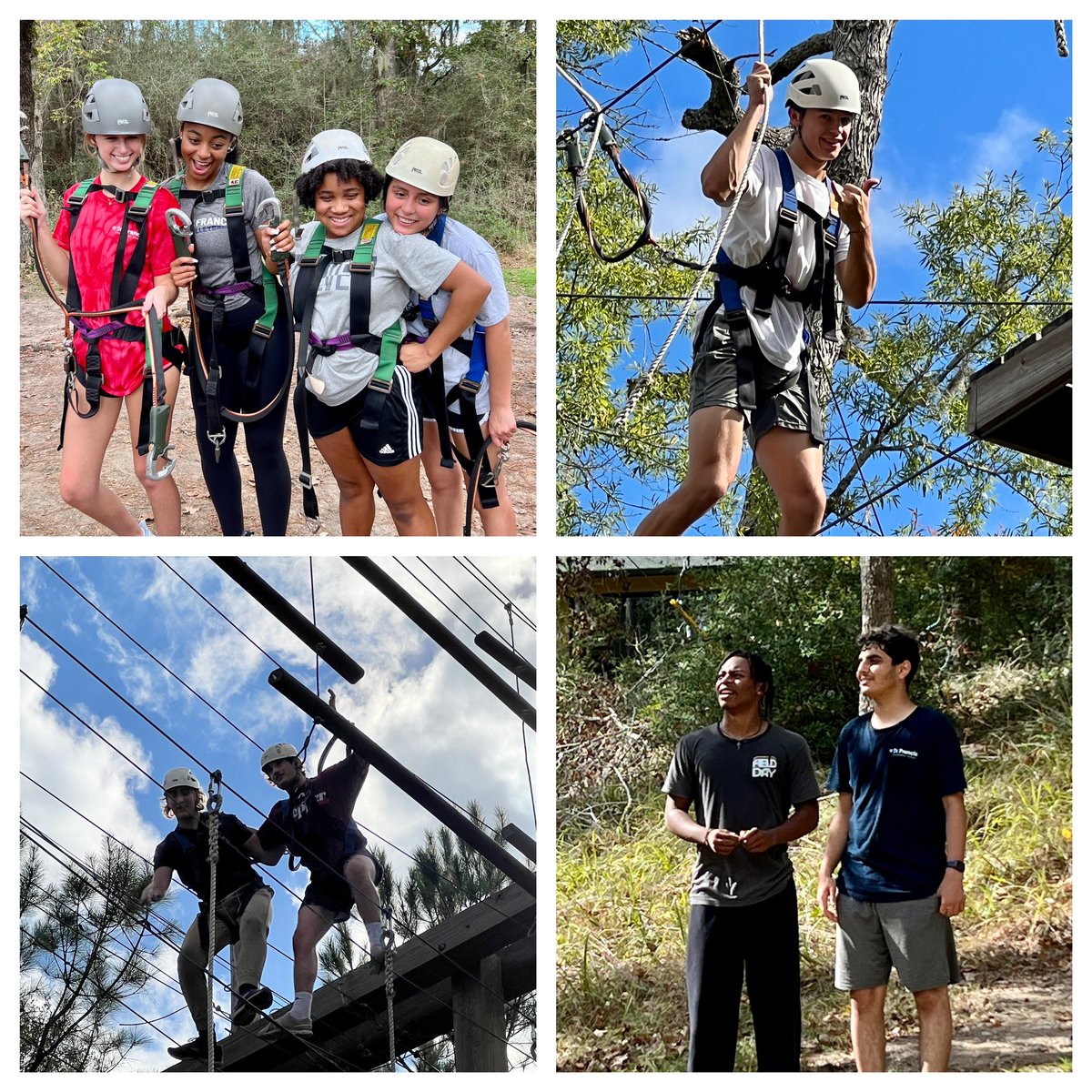 Tracey Addington tweet media