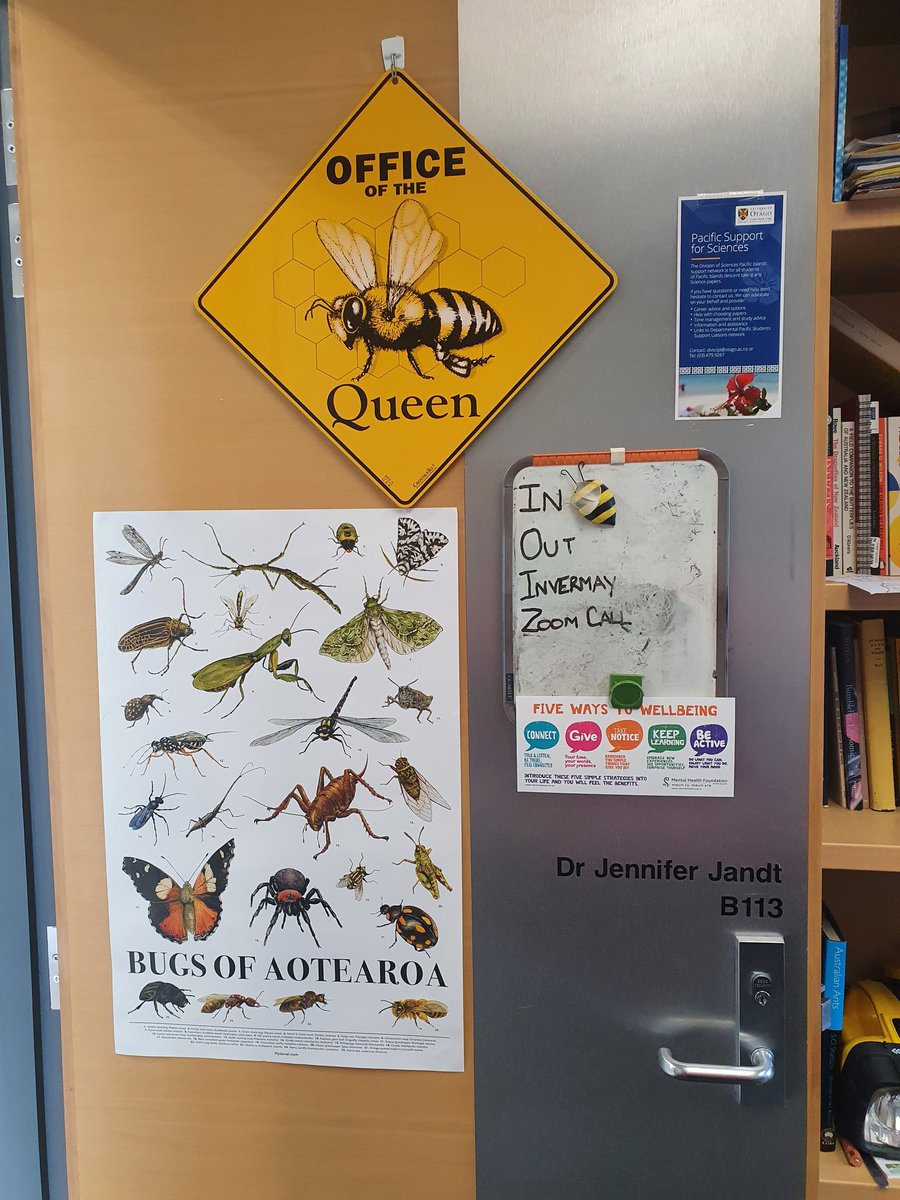 TheWaspLady's tweet photo. Do you have your "Bugs of Aotearoa" poster yet?

The link to purchase a poster (and to learn more about each of the critters features on the poster) can be found at
https://t.co/FWSSaXUV1D

@NZEntoSoc #BugOfTheYear2023 https://t.co/X56rQY5waF