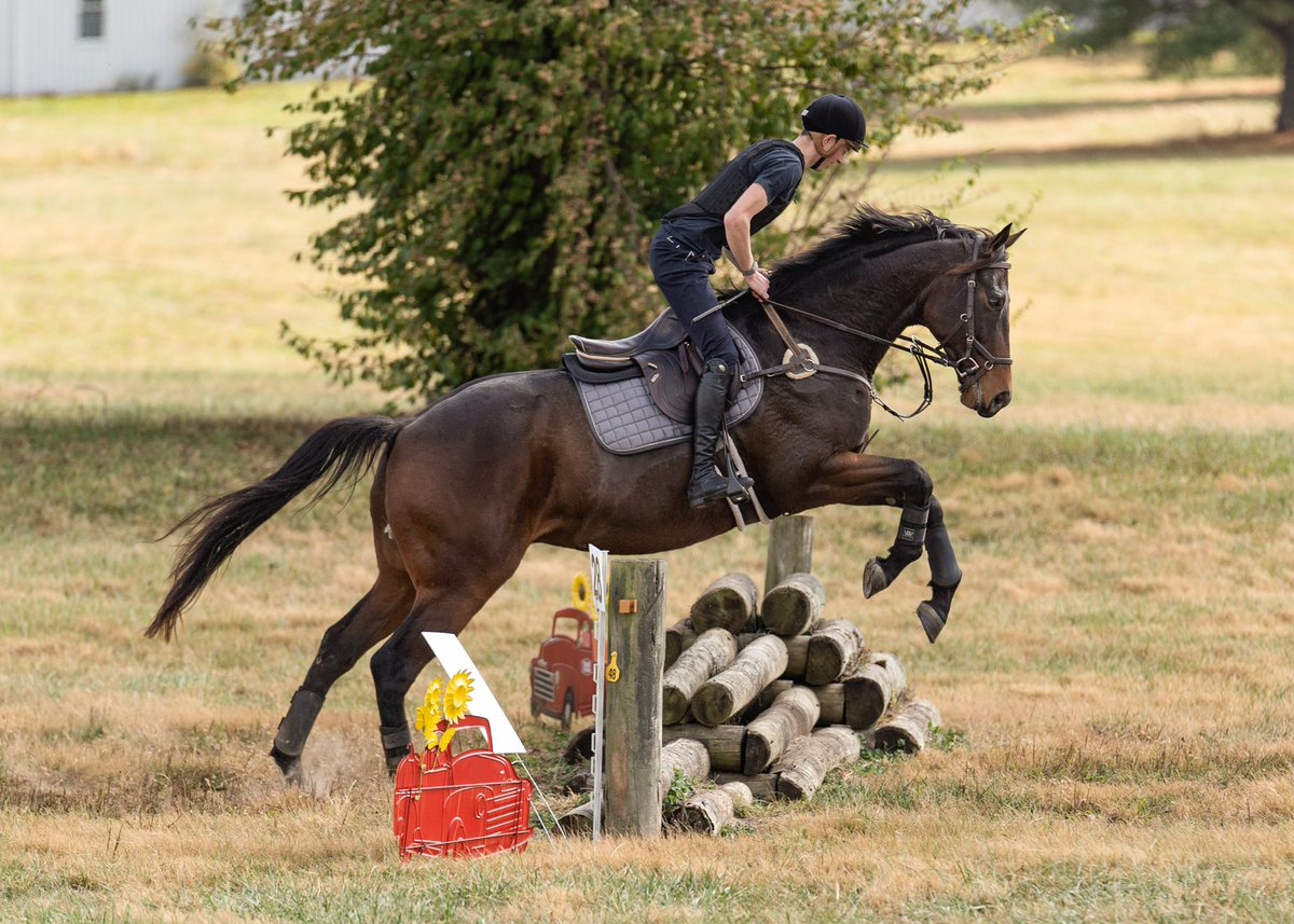 torijada6's tweet photo. 🇺🇸Made In America🇺🇸 being a champ at his first event! From stakes winner to show pony- he handles everything with pure class. HUGE thank you to @sophiedoyle77 and @the_doyler for taking my sweet boy out for a spin and showing him the ropes! https://t.co/zxaP8rVrDW