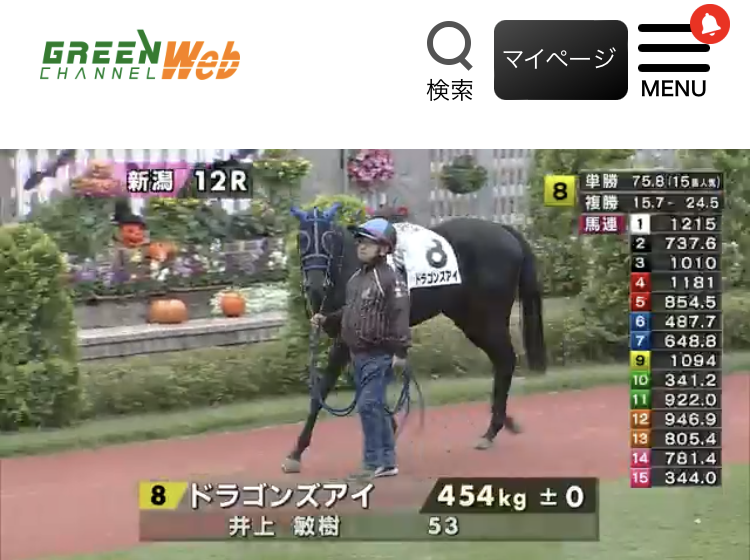 12/17更新🐴愛馬の現在地🐴

今シーズン佐賀で5勝を挙げた
#エイシンアルゴス に感謝します。

#ギンザトップレディ
移動：きおりステーブル→笠松競馬・笹野厩舎

#クラトス
転厩：名古屋競馬・塚田厩舎：来週出走予定

年内の出走予定：
#アグネスプリンセス
#エイシンアルゴス
#カサマツノライトオ  