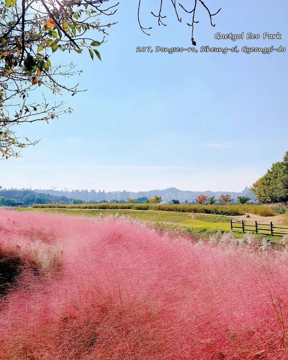 DermalMask's tweet image. Beautiful Place!