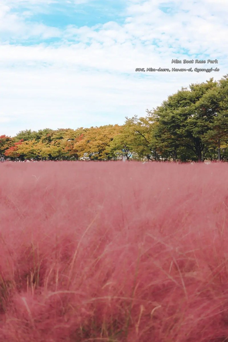 DermalMask's tweet image. Beautiful Place!