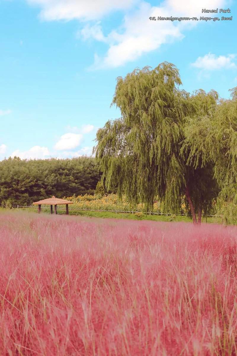 DermalMask's tweet image. Beautiful Place!