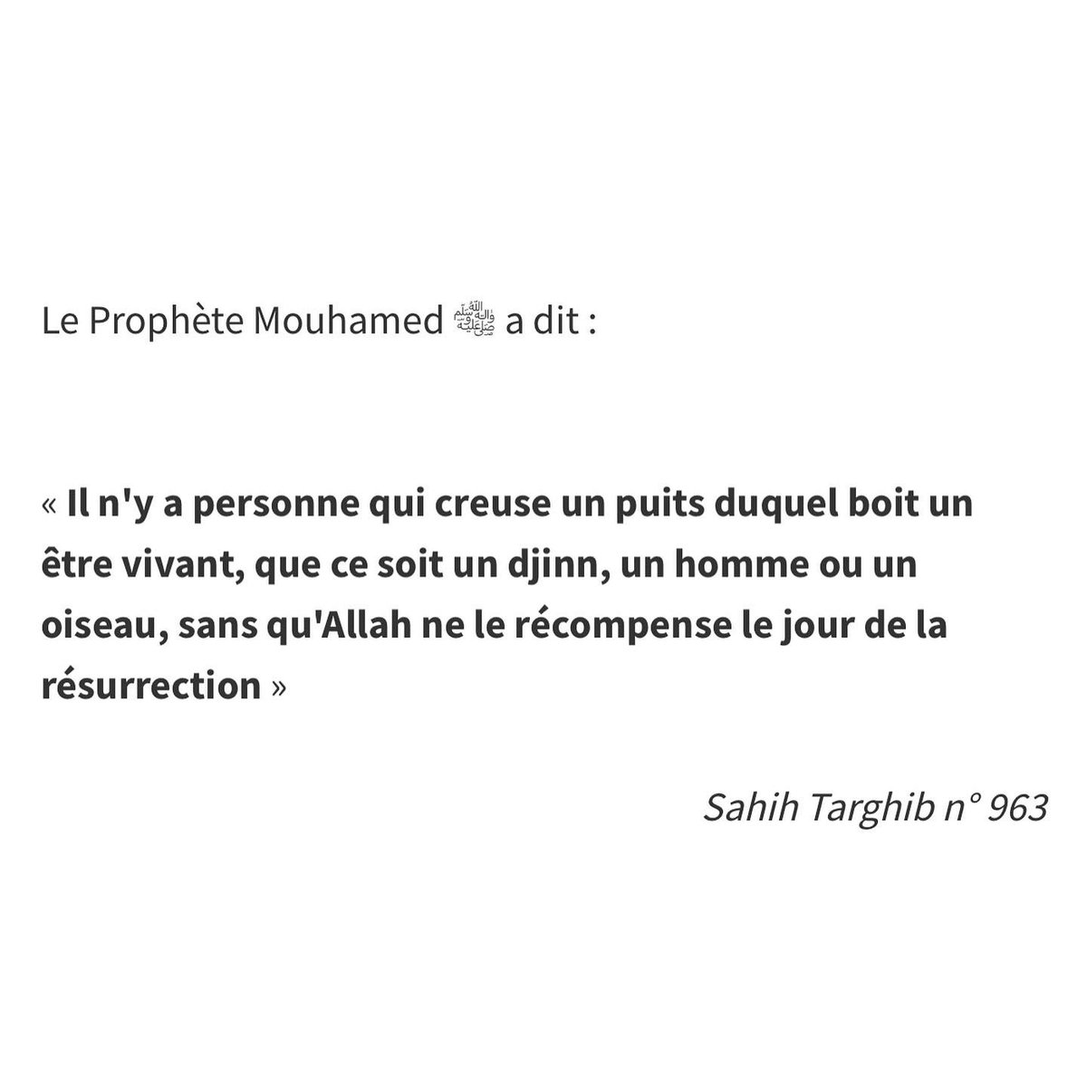 ahadithdujour's tweet photo. #Hadith_HDJ #HadithDuJour https://t.co/9V0r3TsnAb