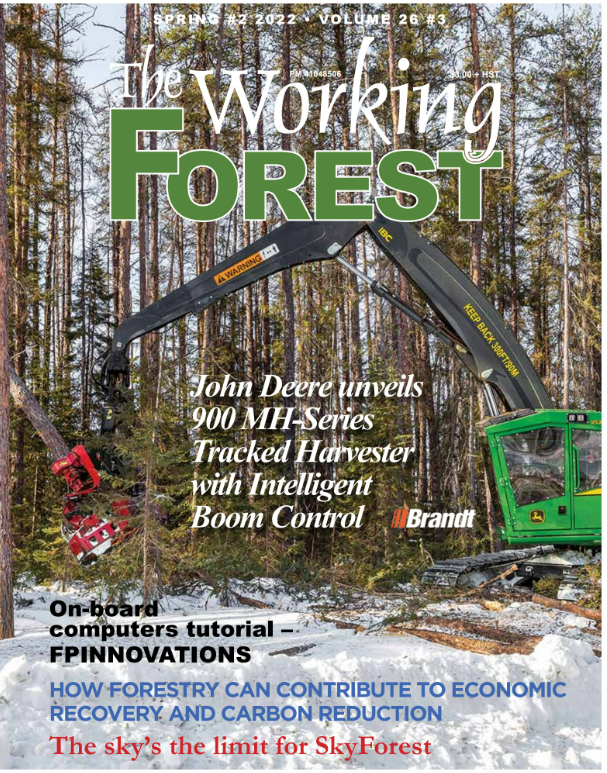 WorkingForest's tweet photo. https://t.co/SY0VhHLEQm https://t.co/o8CP5j3CFp