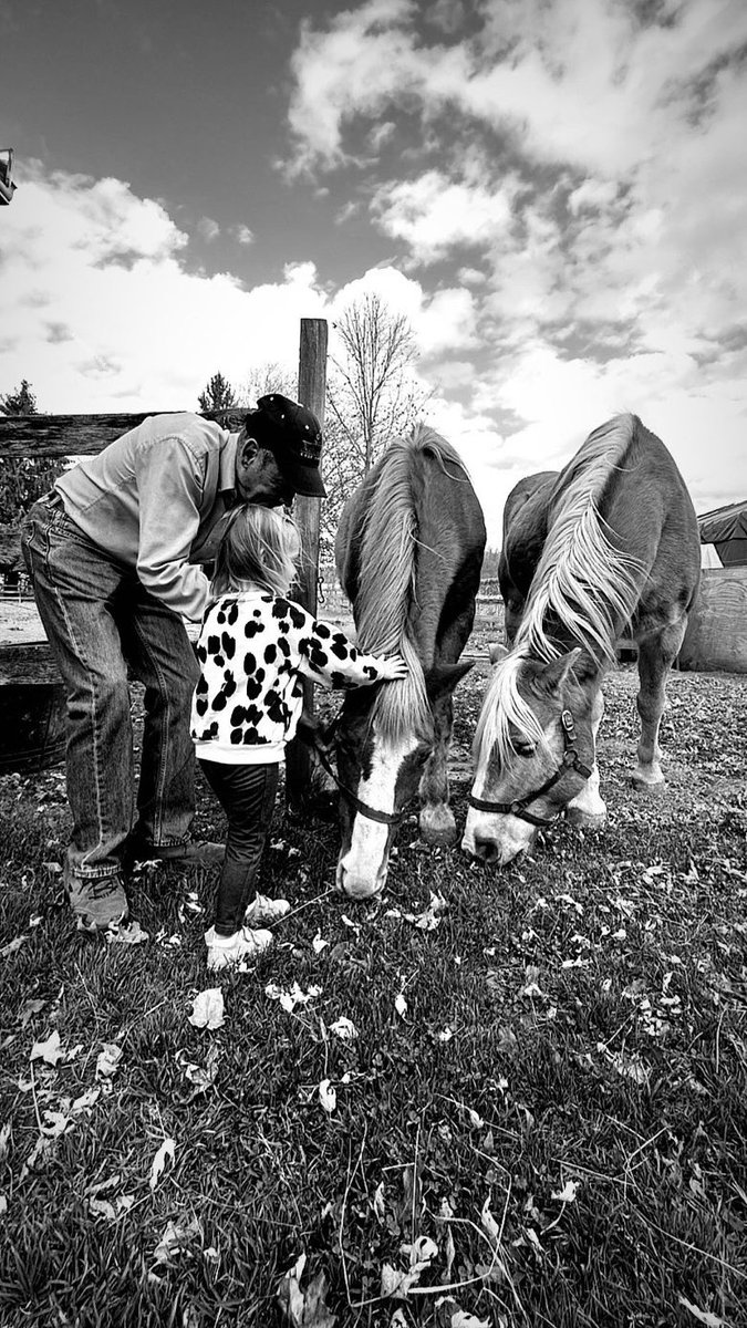 Put phone down. Breathe fresh air. Soak in the sunshine. Then get back on the horse…