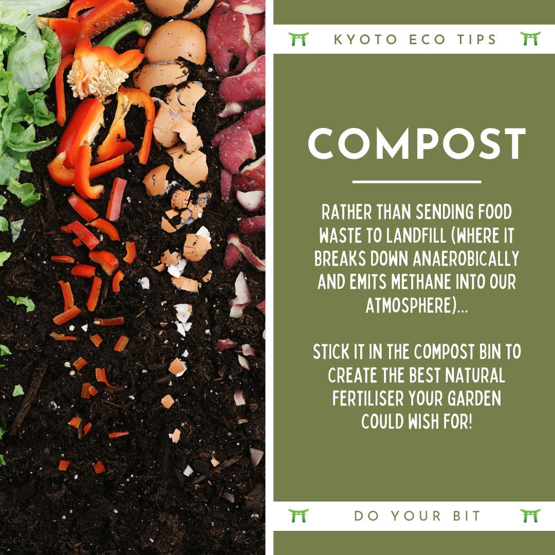 Kyotocoin tweet media