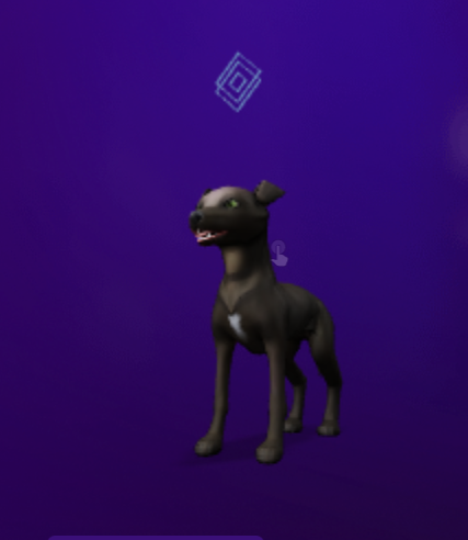 RedW | 🦴 DOGA tweet media