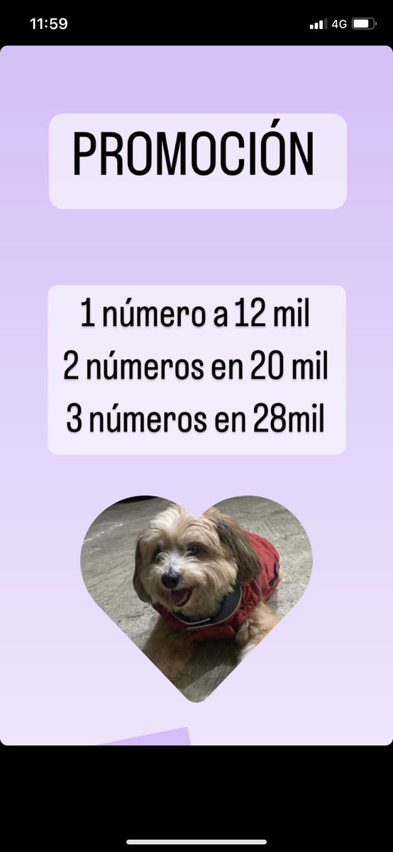Hola, aún me quedan muchos números para ayudarme con la operación de bobbito, por si alguno quisiera ayudar 🫶🏼🫶🏼
La operación es el 8 de diciembre 🤞🏽🫶🏼