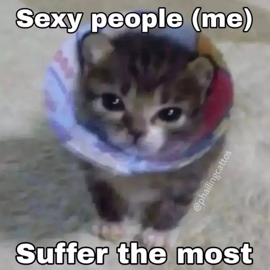 literallymecats's tweet image. 