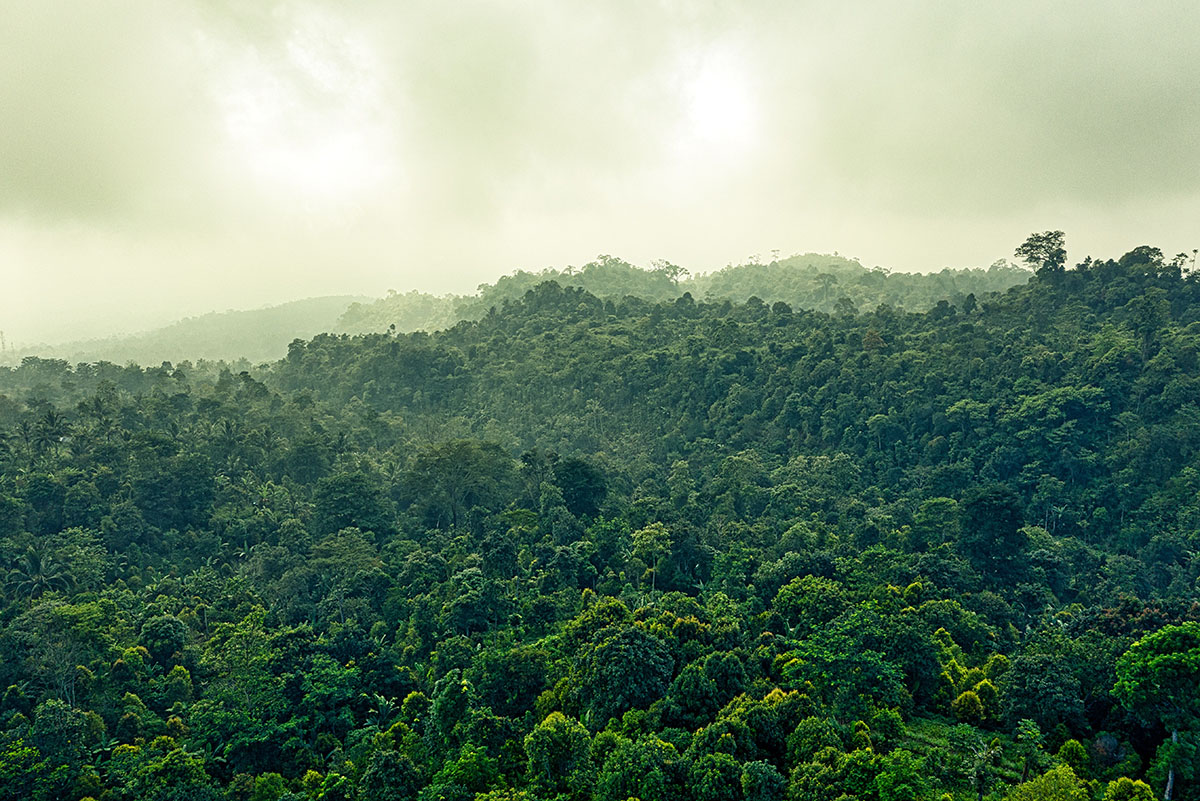 ClimateWorks Foundation (@climateworks) on Twitter photo Today, we join <a href="/Hewlett_Found/">Hewlett Foundation</a>, <a href="/FordFoundation/">Ford Foundation</a> <a href="/CIFFchild/">The Children's Investment Fund Foundation</a>, <a href="/PackardFdn/">Packard Foundation</a> <a href="/MooreFound/">Moore Foundation</a> <a href="/GoodEnergies/">Good Energies Foundation</a> <a href="/ClimateLandUse/">CLUA</a> + more to launch the Forest, People, Climate collaborative & work to raise another $1.2Bn to end deforestation & protect communities ➡️ bit.ly/3Teo40Q #COP27 Today, we join <a href="/Hewlett_Found/">Hewlett Foundation</a>, <a href="/FordFoundation/">Ford Foundation</a> <a href="/CIFFchild/">The Children's Investment Fund Foundation</a>, <a href="/PackardFdn/">Packard Foundation</a> <a href="/MooreFound/">Moore Foundation</a> <a href="/GoodEnergies/">Good Energies Foundation</a> <a href="/ClimateLandUse/">CLUA</a> + more to launch the Forest, People, Climate collaborative & work to raise another $1.2Bn to end deforestation & protect communities ➡️ bit.ly/3Teo40Q #COP27