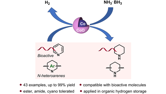ChemSusChem's tweet photo. Core-Shell Nano-Cobalt Catalyzed Chemoselective Reduction of N-Heteroarenes with Ammonia Borane (Tang and co-workers) #CSSC_OPEN_HUST https://t.co/1T1wstAcXg https://t.co/worJi44fEA