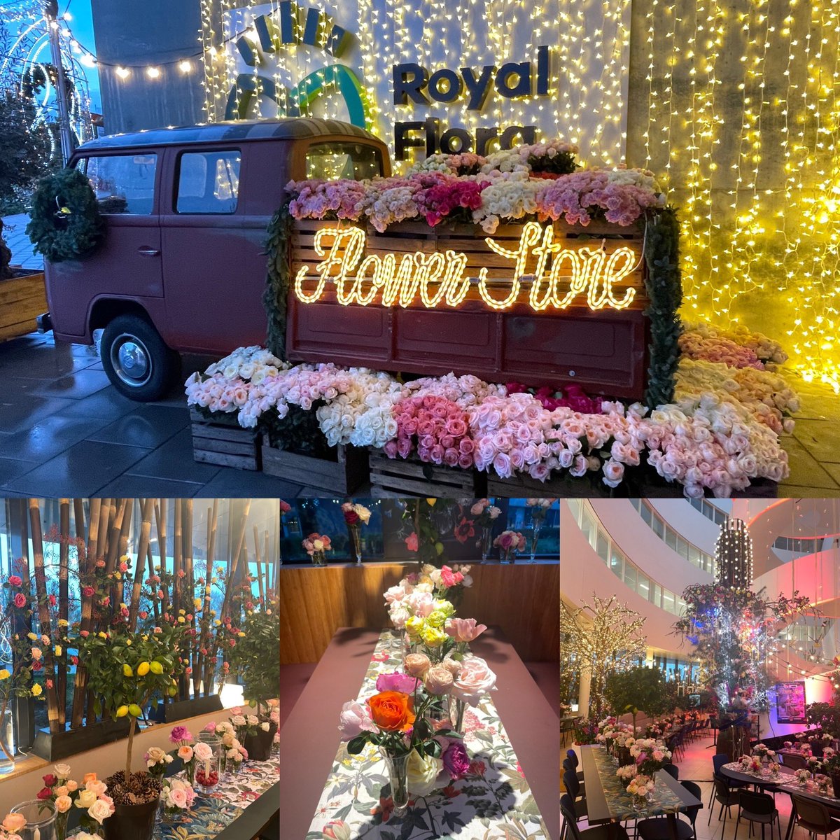 Floradôme wordt de gastvrije Secret Garden! 

Royal FloraHollands, Floradôme, wordt tijdens de beursdagen omgetoverd tot Secret Garden. Deze aanvliegroute naar de Trade Fair wordt een uitnodigende locatie voor een ieder die wil netwerken en elkaar ontmoeten in de sierteeltsector.