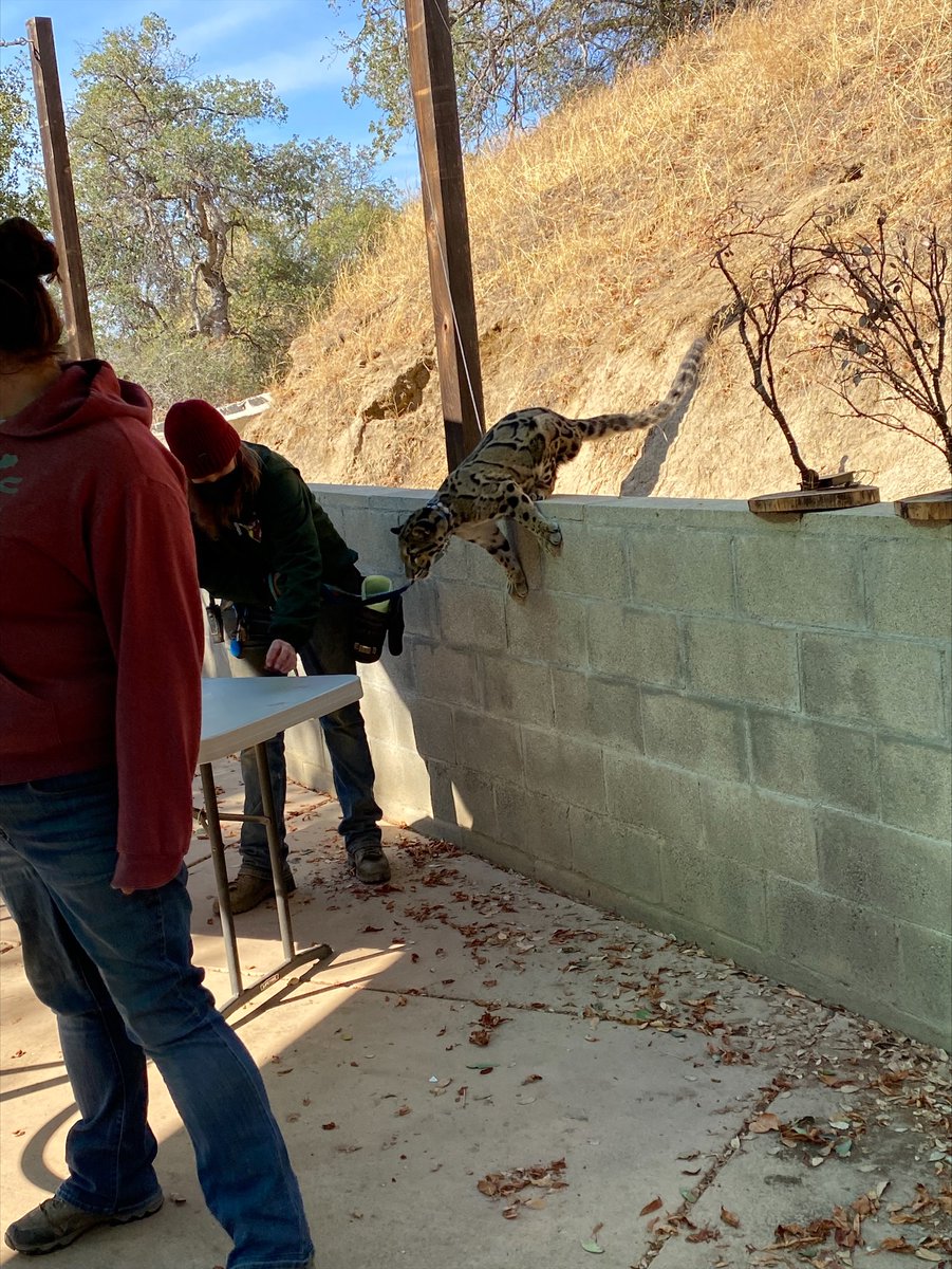 VUSD Expanded Learning tweet media