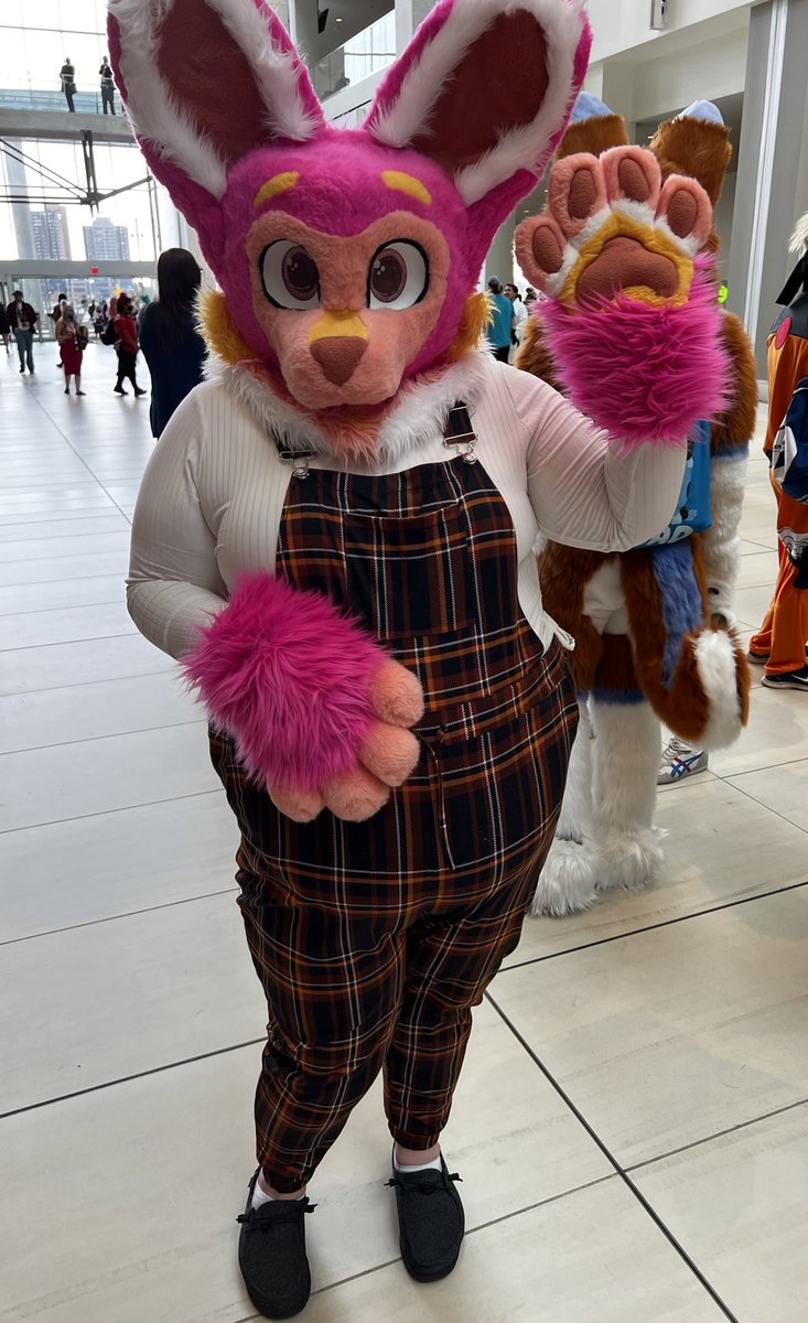 Pink Sherbet 💕 tweet media