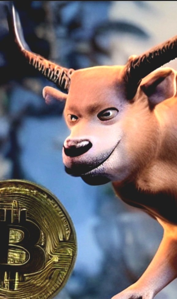 YeahDAT2's tweet photo. BITTER BULL BY YEAHDAT2.X 
ONLY 150 AVAILABLE FOR MINT
SUBSCRIBE AND COLLECT VIA
🔗https://t.co/Zd50xNNSgT ⬅️

#NFT #NFTFAM #NFTPROJECTS #NFTCOMMUNITY #NFTCOLLECTOR #NFTGIVEAWAY #NFTBUYERS #NFTCOLLECTIBLES  #OPENSEANFT #CROFAMNFT https://t.co/aCphysEyoW