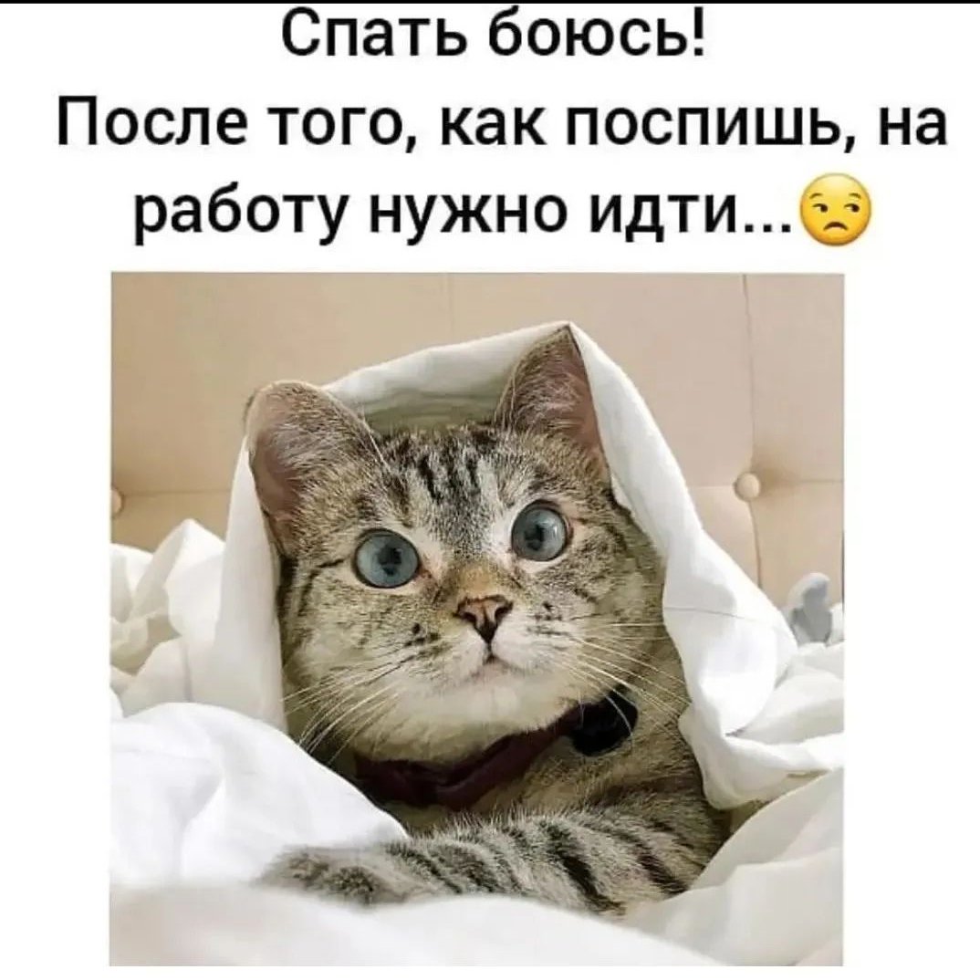 Спать боюсь после надо на работу