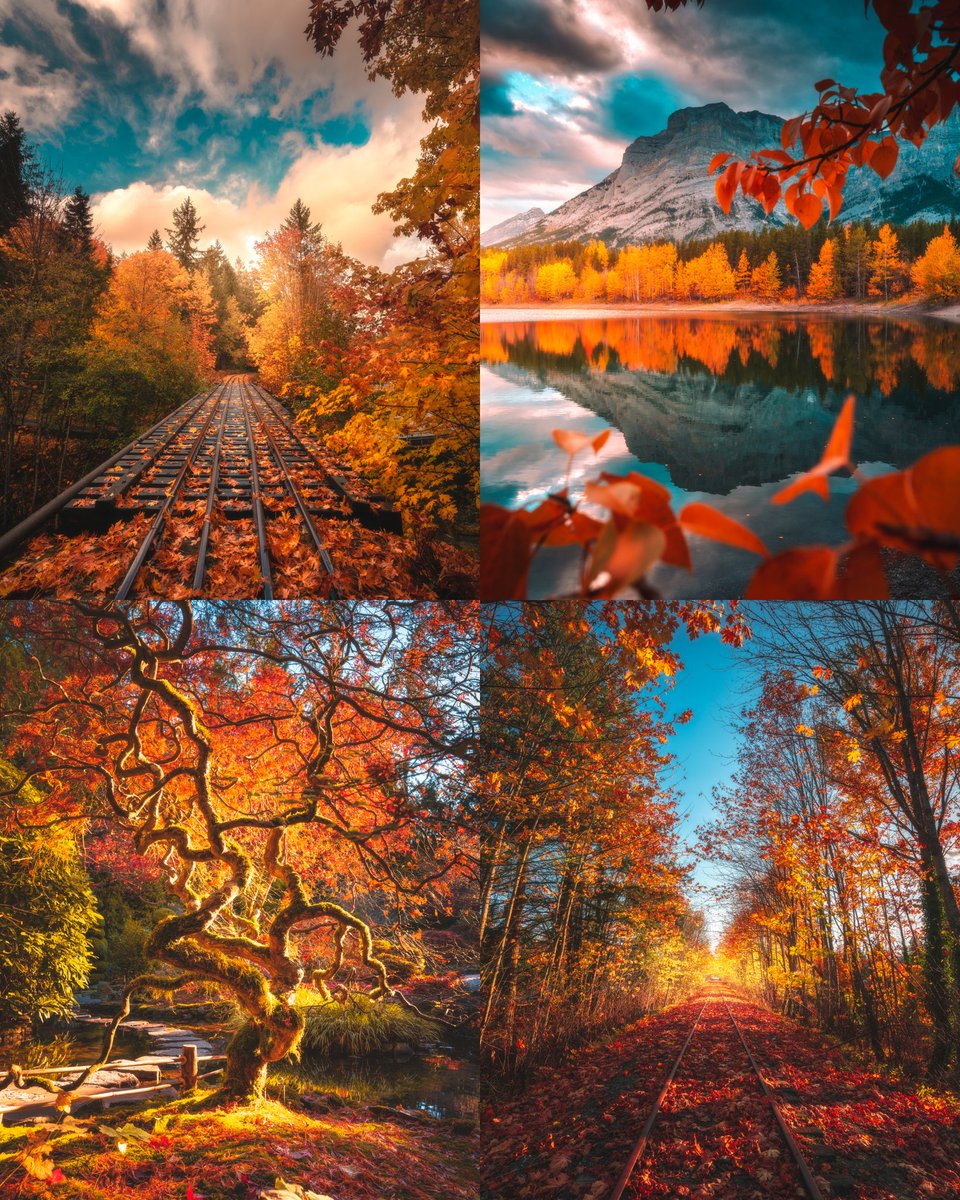 Calibreus_'s tweet photo. The warm colors and tones of Autumn. 🍂🍁 https://t.co/bK2p7N5j9p