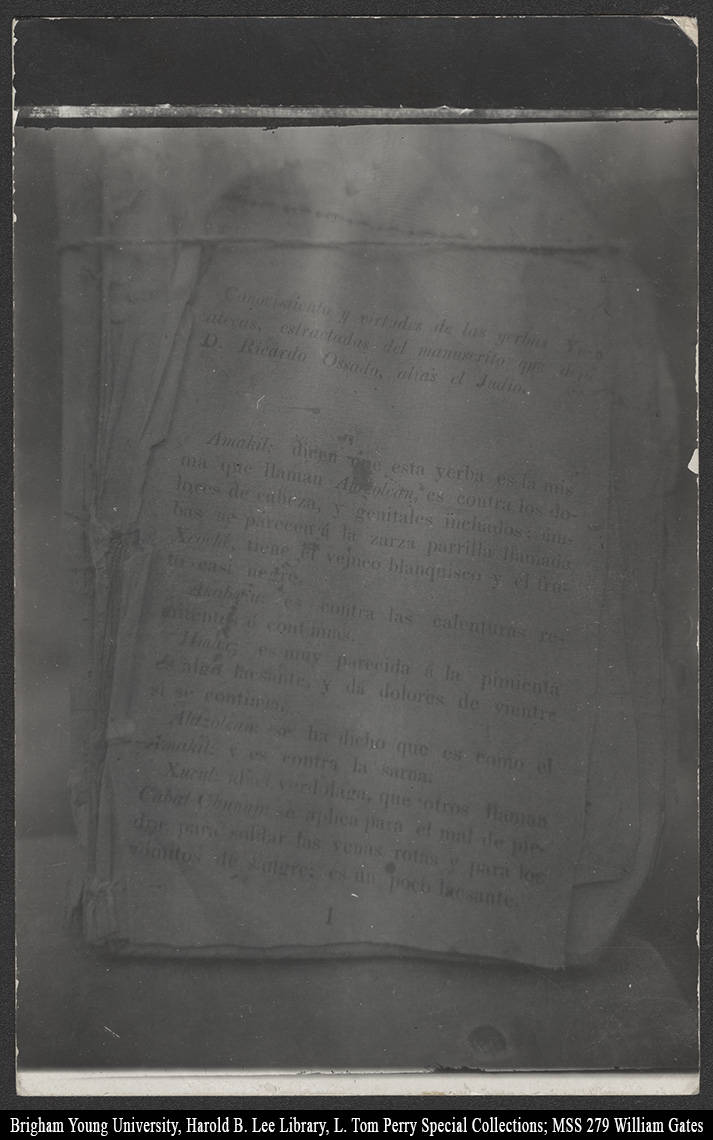 Book history or #Maya medicine people. Has anyone seen El Libro Judio (1834) in any other form beyond typescripts and modern editions? I've only found a photograph (<a href="/BYU/">BYU</a>'s Gates collection), which proved to me te #recipebook even existed...

#medicalhistory #recipes