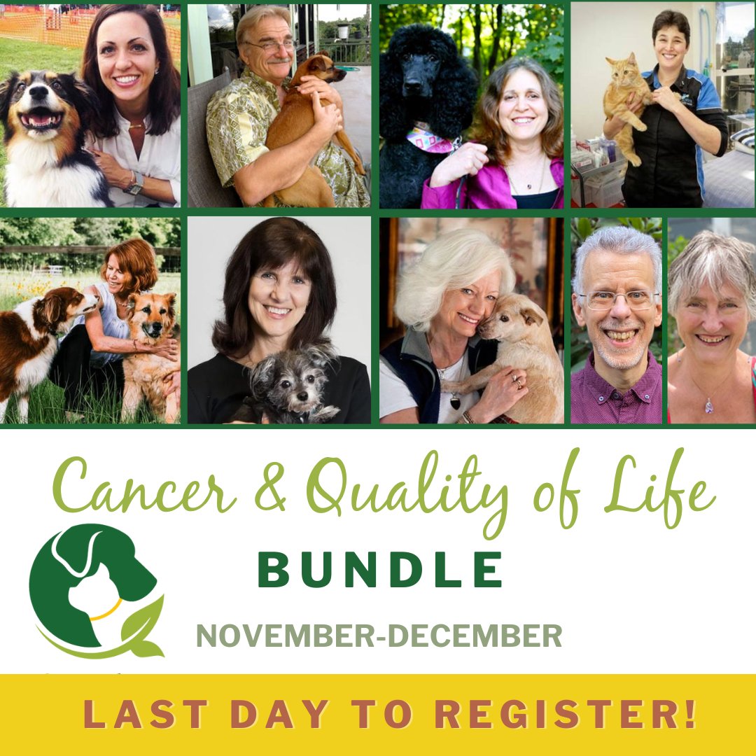 There's still time to register for our 60-day Pet Cancer &amp; Quality of Life Educational Bundle! Dive deep into optimizing your pet's health while facing cancer and focusing on the quality of life with top pet experts and holistic veterinarians. learn more: holisticactions.com/cancer-bundle/