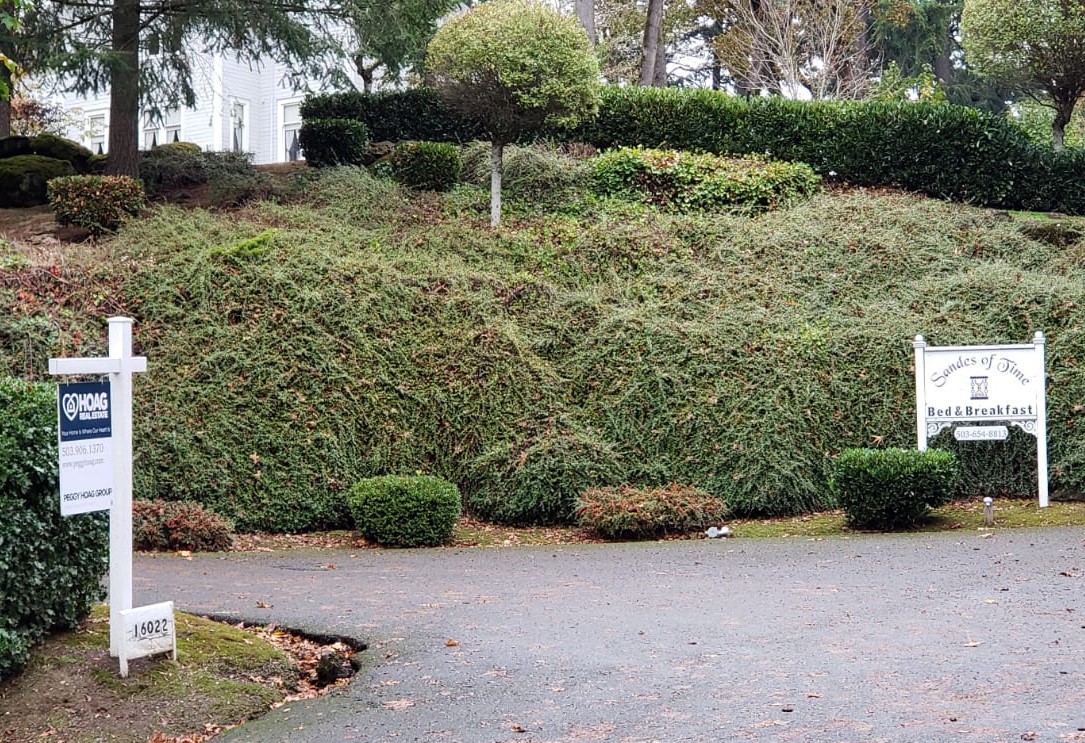 hisescape777's tweet photo. I was in SE Portland the other day off SE River Rd and saw that the Bed and Breakfast that my hubby and I stayed at for our honeymoon in 2015, #SandesOfTime is selling their house. What a sad way to end my work day. #VoteRedToSaveOregon https://t.co/cr3Mz3Ah8Y