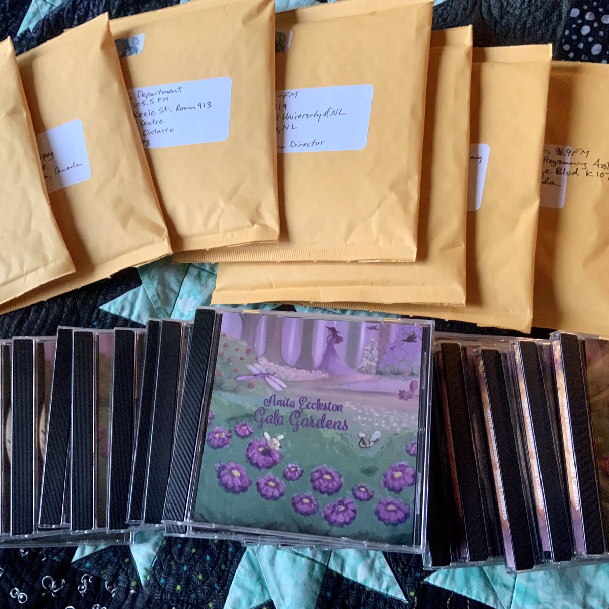 Anita Eccleston 🇺🇦 tweet media