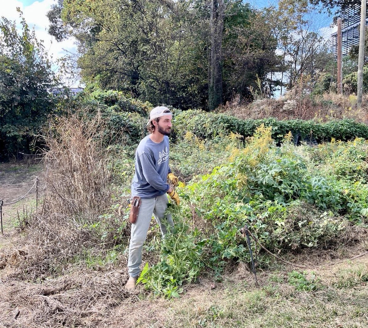 NLinAtlanta's tweet photo. Great to see the EU coming together for our planet during the #ClimateDiplomacyWeek2022. We thank @TreesAtlanta for giving us the opportunity to assist with tree care and forest restoration at the @AtlantaBeltLine ๐ณ๐ฟ https://t.co/KddcsUugSj