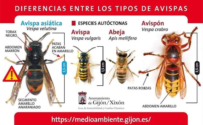 manuel_hdc's tweet photo. @Zamora24horas https://t.co/dhJFCoVrfh