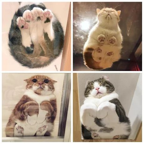 WholesomeMemes tweet media