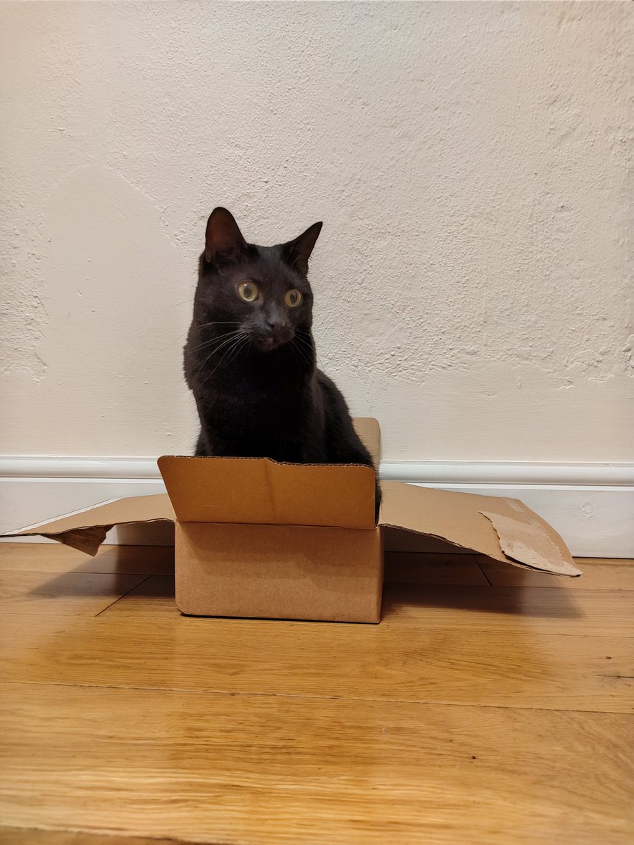 Sam Rolland tweet media