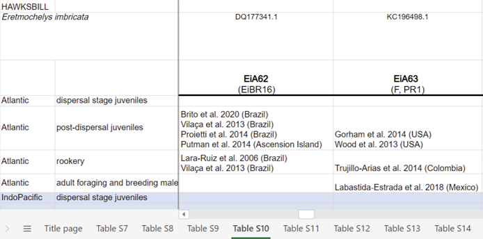 Katrina Phillips (@seakatrina) on Twitter photo If you work with #seaturtle mtDNA, see supplement for tables of long-fragment haplotypes (>550bp) across species with GenBank accession # and synonymous names. 🐢🧬
For each haplotype, we included: life stages, countries, & ocean basin(s) where it's been found + citation.
🧵3/5 If you work with #seaturtle mtDNA, see supplement for tables of long-fragment haplotypes (>550bp) across species with GenBank accession # and synonymous names. 🐢🧬
For each haplotype, we included: life stages, countries, & ocean basin(s) where it's been found + citation.
🧵3/5