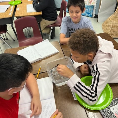 Nelda Charles tweet media