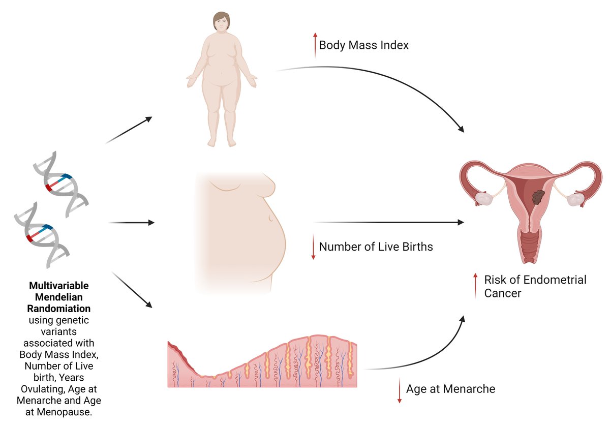 Our paper using multivariable #mendelianrandomization to assess the #causal effect of years ovulating, live #births, #BMI, age at #menarche and #menopause on #endometrialcancer are available online: bmcmedicine.biomedcentral.com/articles/10.11…

Huge effort from @shannon_durso!

@UniOslo_MED @IMBatUQ