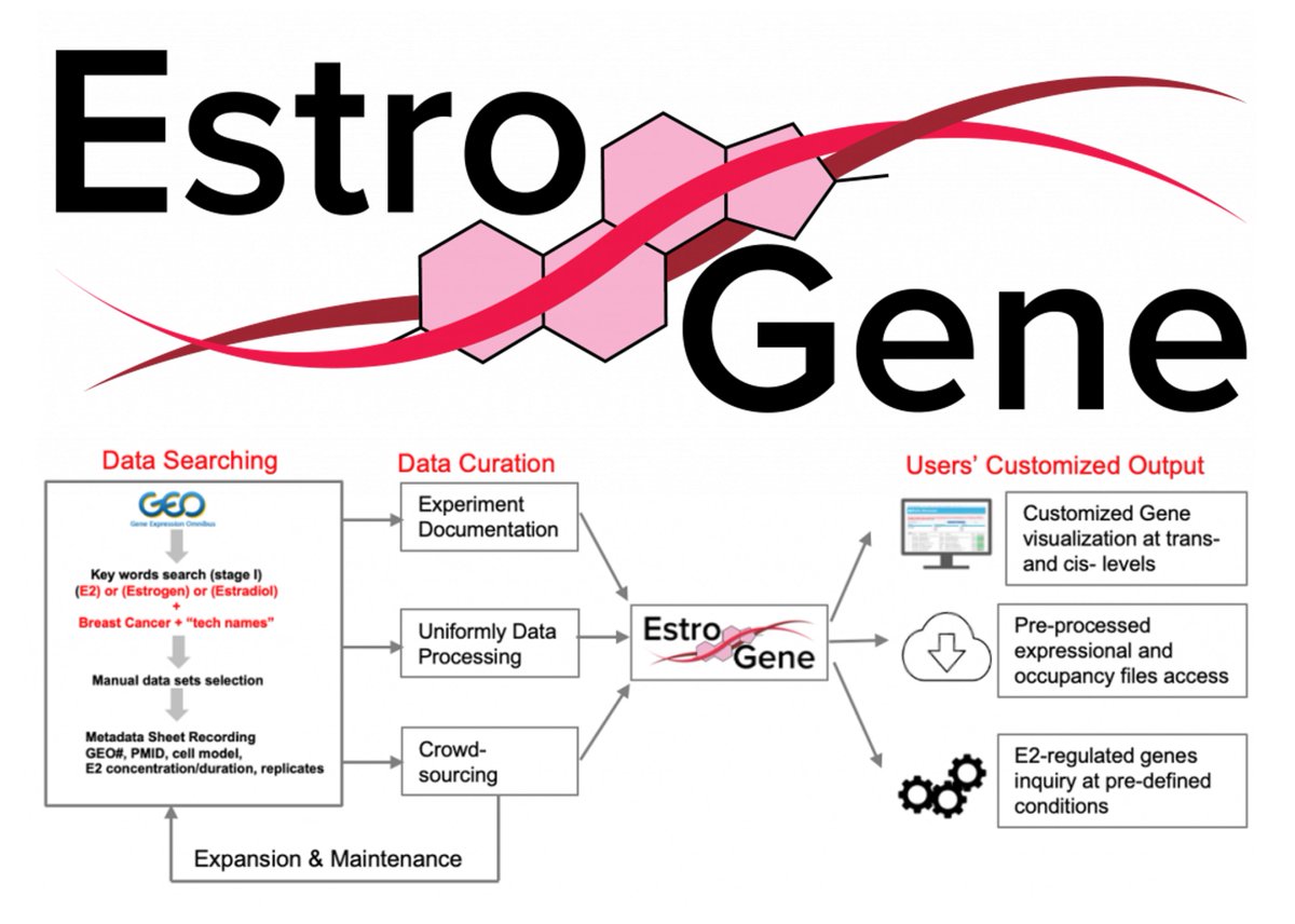 Please RT: ER/E2/breast cancer. We are seeking #crowdsourced datasets and opinions. We curated 136 published datasets, processed with one pipeline and made a browser to visualize E2-induced expression and ER binding. Feel free to try it out estrogene.org  🧵