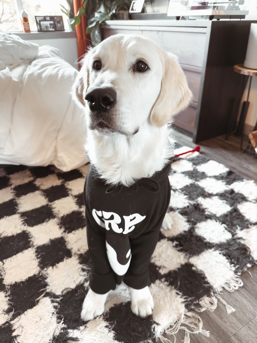 Michael8Ramirez's tweet photo. @Griz your biggest fan 🤍🤍🤍 https://t.co/a2GJyylxdF