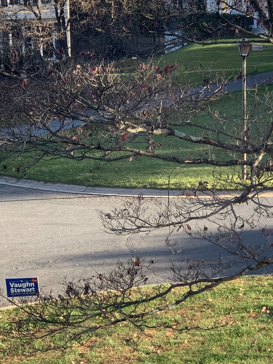 RandyGale's tweet photo. @DelegateStewart A certain 2018 opponent of yours lives across the street from me and has a Frank Nice yard sign. When I saw this mailer I had to pull my Vaughn Stewart sign from 2018 out of the garage and put it out again. https://t.co/0SyUlcnrEX
