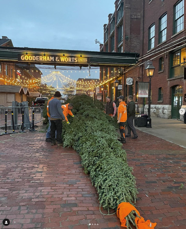 Le marché de Noël préféré de Toronto dans le #DistilleryDistrict revient ce mois-ci le 17 novembre. Assurez-vous d’acheter vos billets à l’avance et venez célébrer les vacances! <a href="/DistilleryTO/">The Distillery District</a>