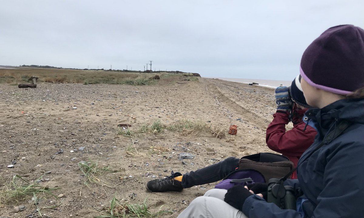 birdingfox's tweet photo. Had a brilliant time leading a #BTOYouth guided walk at @spurnbirdobs this weekend! Highlights included Kestrel, Jack Snipe, Whooper Swans, a wealth of waders and some very confiding Snow Buntings 💚🐦 #spurnbirds https://t.co/V4JmZTYeJh
