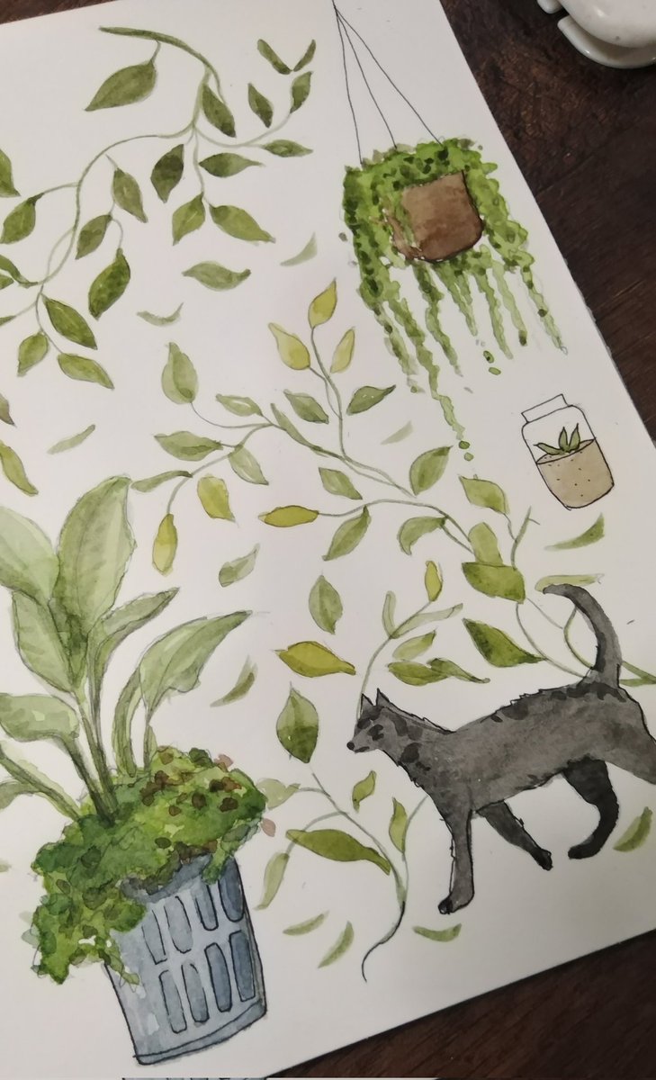 شجرات لتخفيف الهم بعد نزول جدول الفاينل