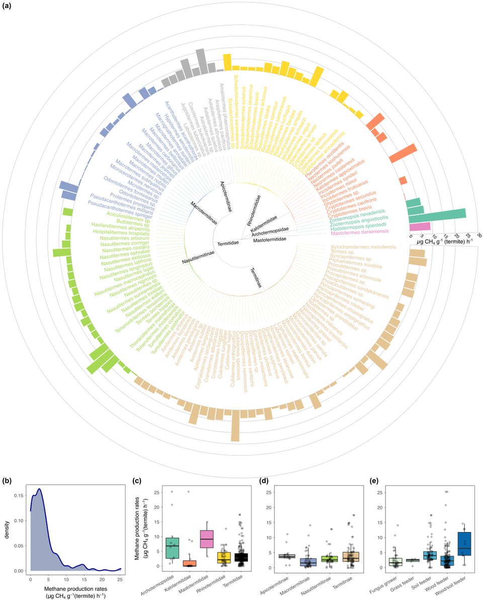 A new Data Paper in <a href="/ESAEcology/">Ecology</a>:

Species-level termite methane production rates

doi.org/10.1002/ecy.39…

With #OpenData in <a href="/datadryad/">Dryad</a> 

#Termites #Methanogenesis #OpenScience
