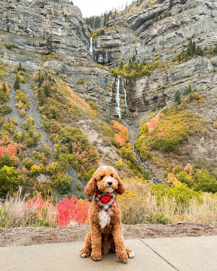 Red Roof tweet media
