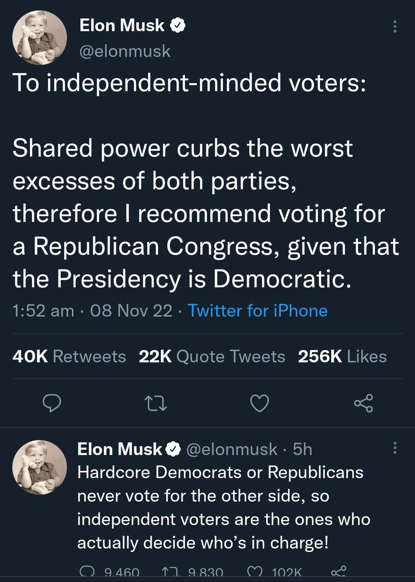 wayward witch tweet media