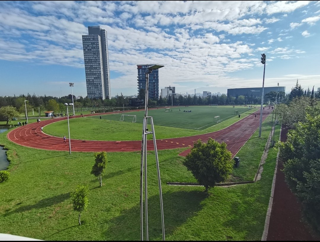 "TEMPLO DEL RUNNING POBLANO"
.
.
Estamos a tus órdenes en el Parque del Arte.
* Mañana Martes de 7 am a 10 am.
" NUESTRO LENGUAJE SON LOS RESULTADOS"
.
.
Pregunta por nuestros entrenamientos presencial y online 💻
Somos #SPORTibarraTeam
#running #training #marathon