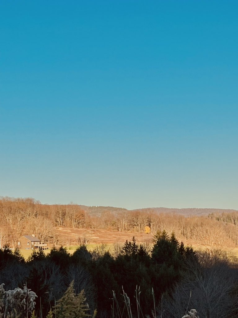 SLVTLVSTPPP's tweet photo. I love that my neighbor gets a half hour more sun than me.
#mountainproblems https://t.co/w3SVbVop01